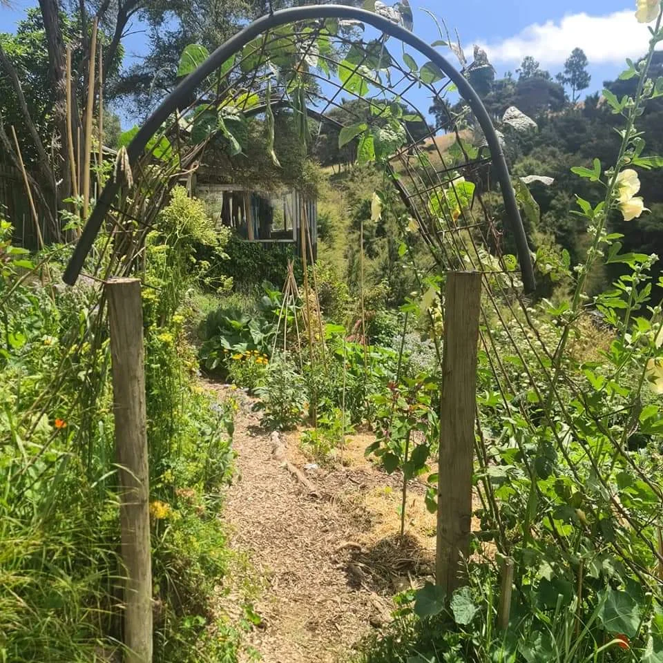 Permaculture